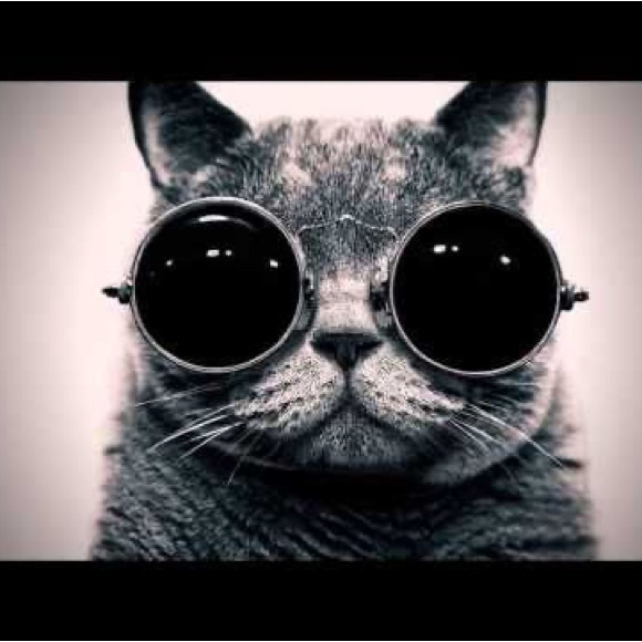 Meet your Posher, Warren - Picture 1 of 1